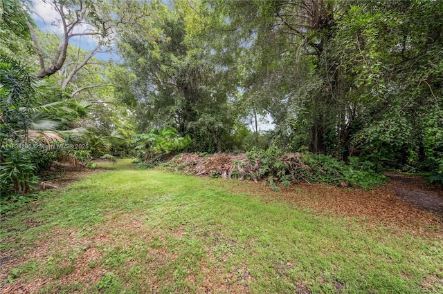 6801 SW 136th St, Pinecrest, FL 33156 - view of green lawn