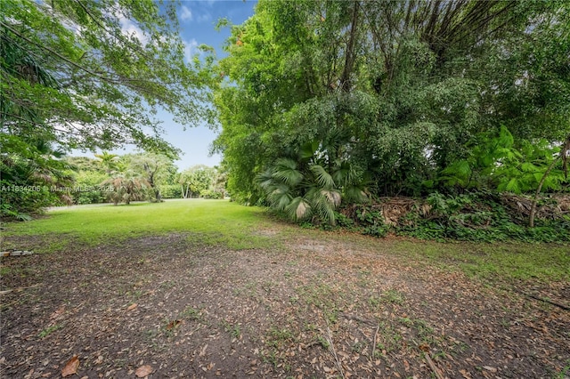 6801 SW 136th St, Pinecrest, FL 33156 - view of green lawn