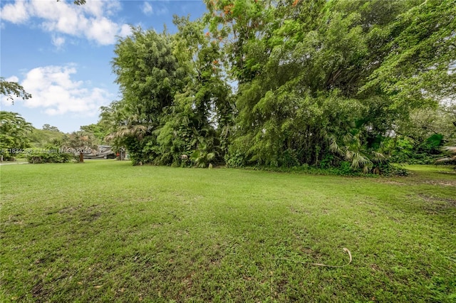 6801 SW 136th St, Pinecrest, FL 33156 - view of green lawn