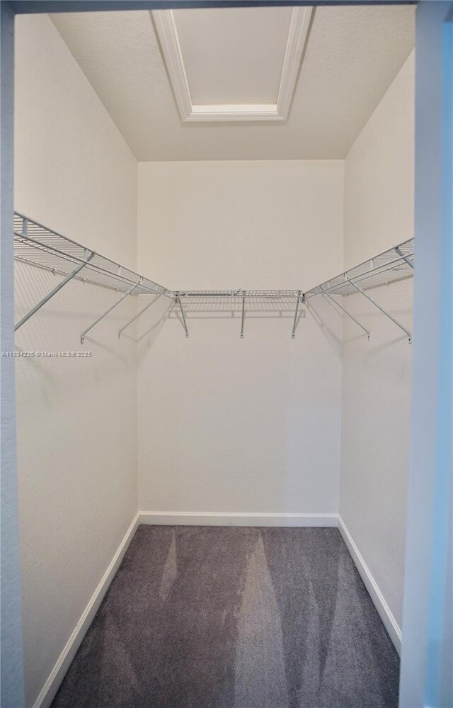 1589 SE 26th Rd, Homestead, FL 33035 - walk in closet featuring carpet and attic access