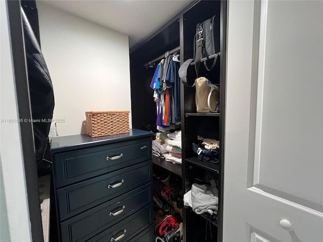 2641 N Flamingo Rd Unit 605N, Sunrise, FL 33323 - view of walk in closet