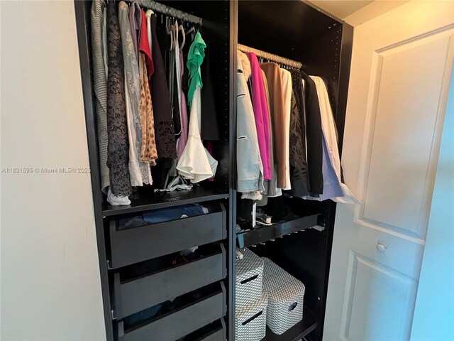 2641 N Flamingo Rd Unit 605N, Sunrise, FL 33323 - view of closet