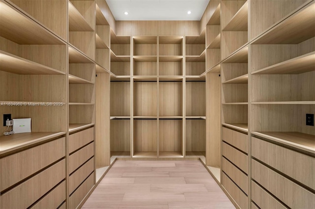 6445 SW 102nd Ave, Miami, FL 33173 - spacious closet featuring light wood-type flooring