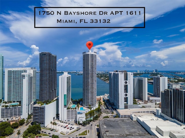 1750 N Bayshore Dr Unit 1611, Miami, FL 33132 - city view featuring a nearby body of water