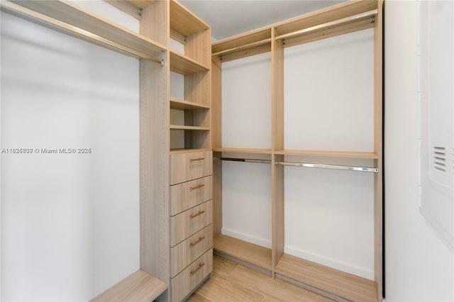 121 NE 34th St Unit 3012, Miami, FL 33137 - spacious closet with light wood-style flooring