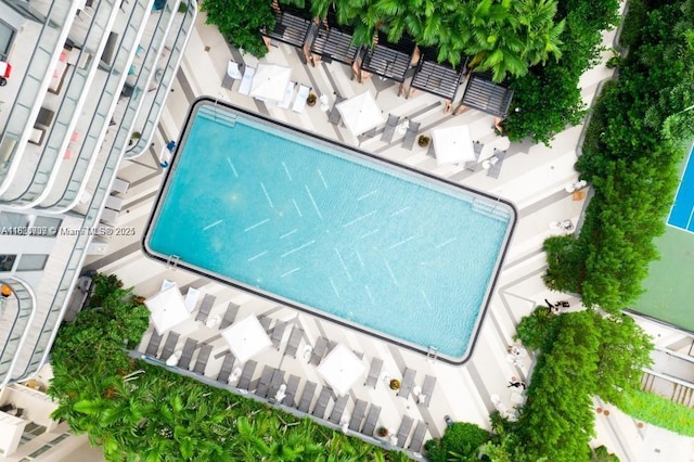 121 NE 34th St Unit 3012, Miami, FL 33137 - aerial view of a pool area