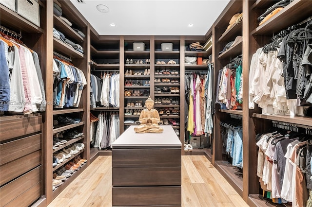 3910 Battersea Rd, Miami, FL 33133 - walk in closet featuring light wood-type flooring