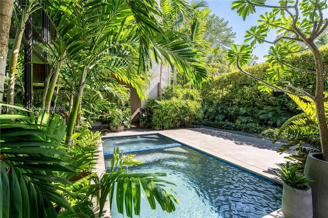 3910 Battersea Rd, Miami, FL 33133 - view of swimming pool
