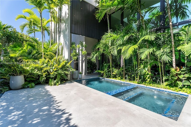 3910 Battersea Rd, Miami, FL 33133 - view of pool