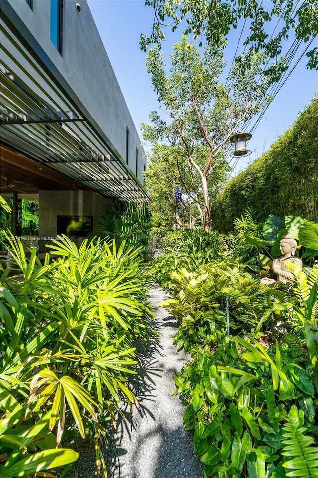 3910 Battersea Rd, Miami, FL 33133 - view of yard