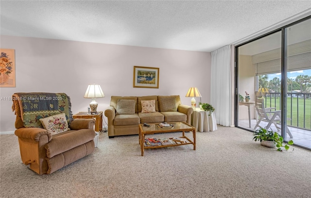 2420 Deer Creek Country Club Blvd Unit 203-D, Deerfield Beach, FL 33442 - living area featuring carpet floors and a textured ceiling