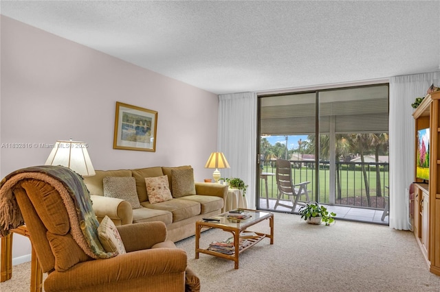2420 Deer Creek Country Club Blvd Unit 203-D, Deerfield Beach, FL 33442 - carpeted living room with a textured ceiling