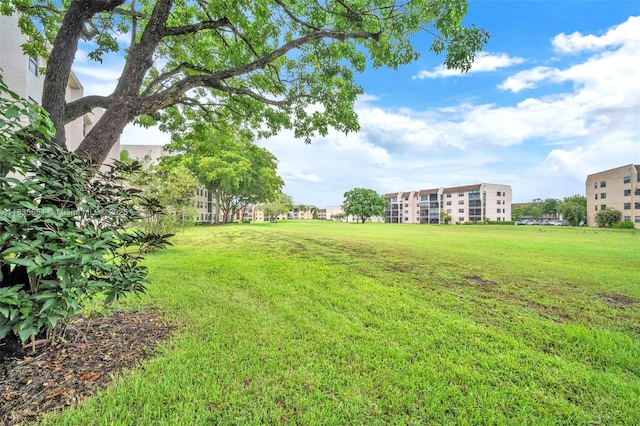10400 NW 30th Ct Unit 305, Sunrise, FL 33322 - view of grassy yard
