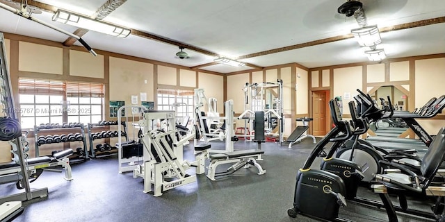 3750 Inverrary Dr Unit 1Z, Lauderhill, FL 33319 - view of exercise room