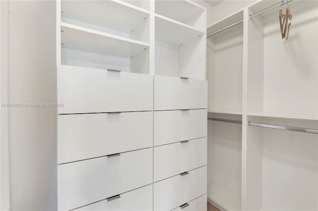 653 NW San Remo Cir, Port St Lucie, FL 34986 - view of walk in closet