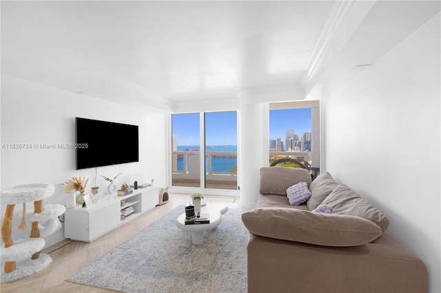 1717 N Bayshore Dr Unit A-3453, Miami, FL 33132 - living room featuring crown molding