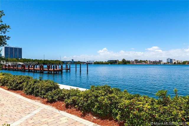 17125 N Bay Rd Unit 3105, Sunny Isles Beach, FL 33160 - dock with a water view