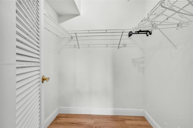 2430 Deer Creek Country Club Blvd Unit 304-2, Deerfield Beach, FL 33442 - walk in closet with light wood-type flooring