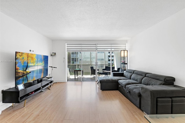 1660 NE 191st St Unit 206-1, Miami, FL 33179 - living room featuring wood finished floors and a textured ceiling