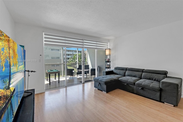1660 NE 191st St Unit 206-1, Miami, FL 33179 - living room with wood finished floors and a textured ceiling