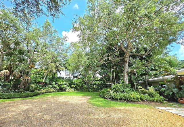 7895 SW 122nd St, Pinecrest, FL 33156 - photo 4