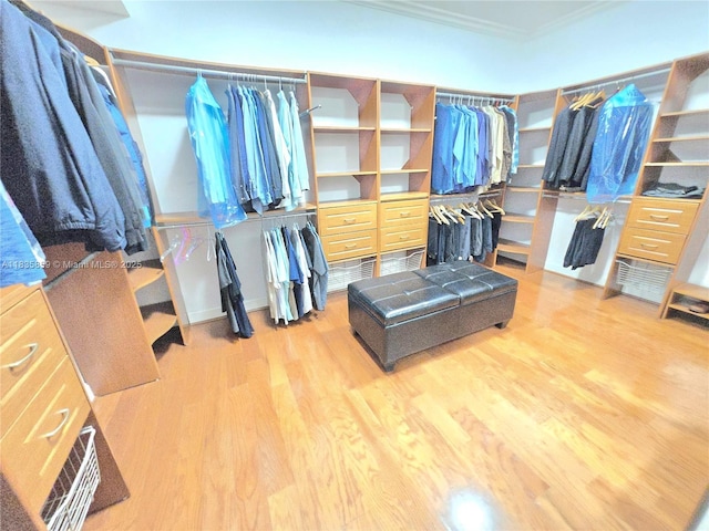 7895 SW 122nd St, Pinecrest, FL 33156 - photo 26