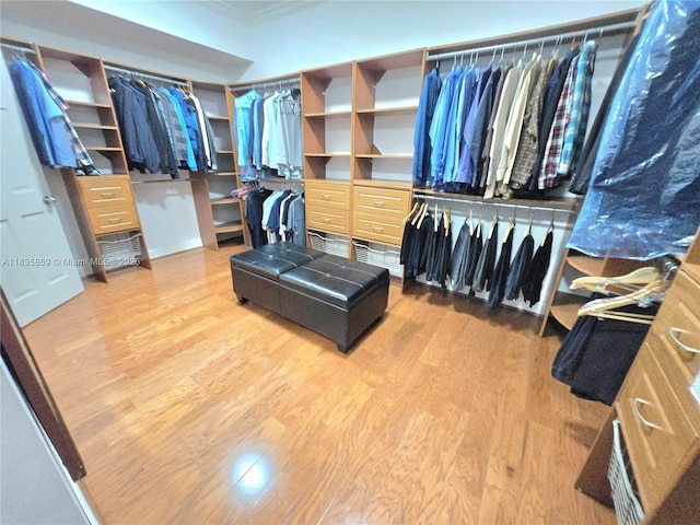 7895 SW 122nd St, Pinecrest, FL 33156 - photo 27