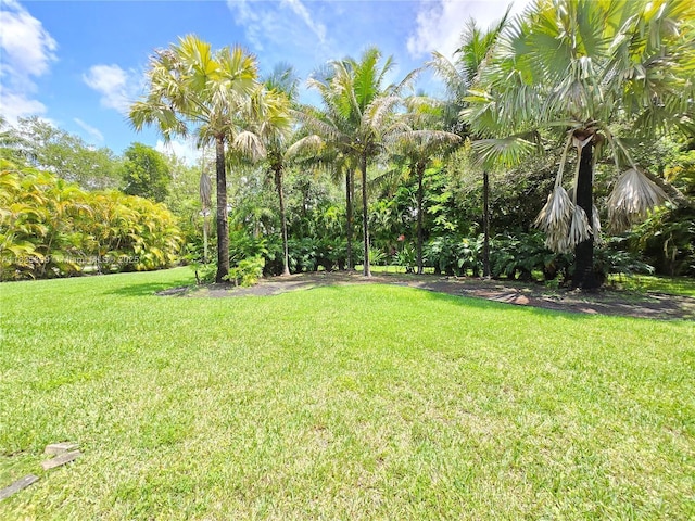 7895 SW 122nd St, Pinecrest, FL 33156 - photo 63