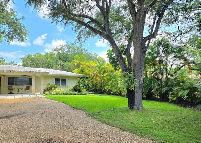 7895 SW 122nd St, Pinecrest, FL 33156 - photo 72