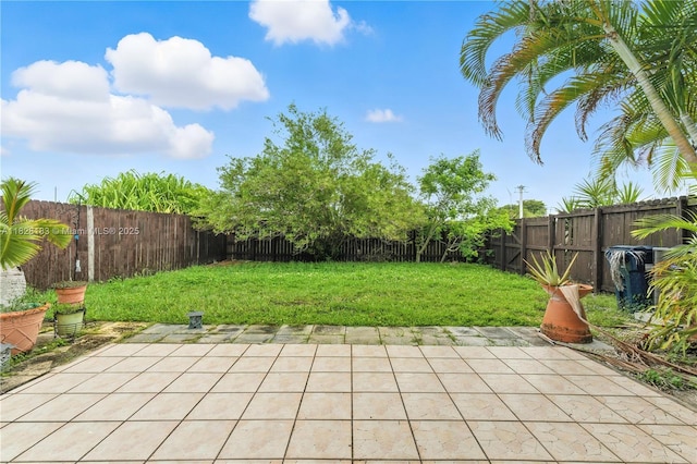 11245 SW 65th St, Miami, FL 33173 - fenced backyard with a patio