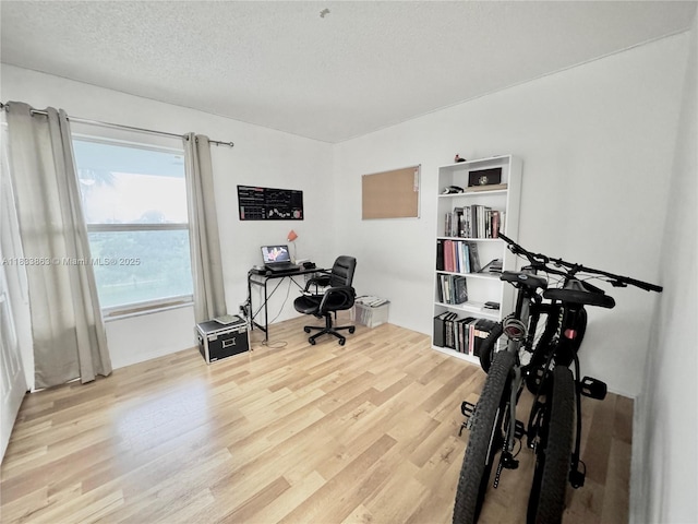 505 S Pine Island Rd Unit 407B, Plantation, FL 33324 - office space with wood finished floors and a textured ceiling