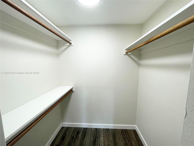 9750 Sunrise Lakes Blvd Unit 109, Sunrise, FL 33322 - walk in closet featuring dark wood-style flooring