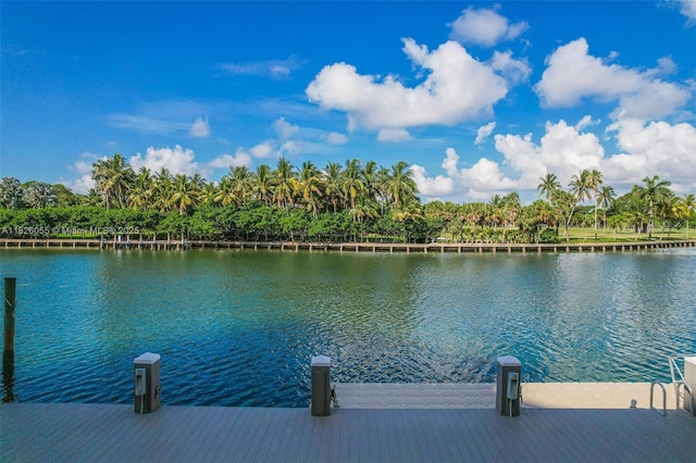 9102 W Bay Harbor Dr Unit 5-D, Bay Harbor Islands, FL 33154 - dock area featuring a water view