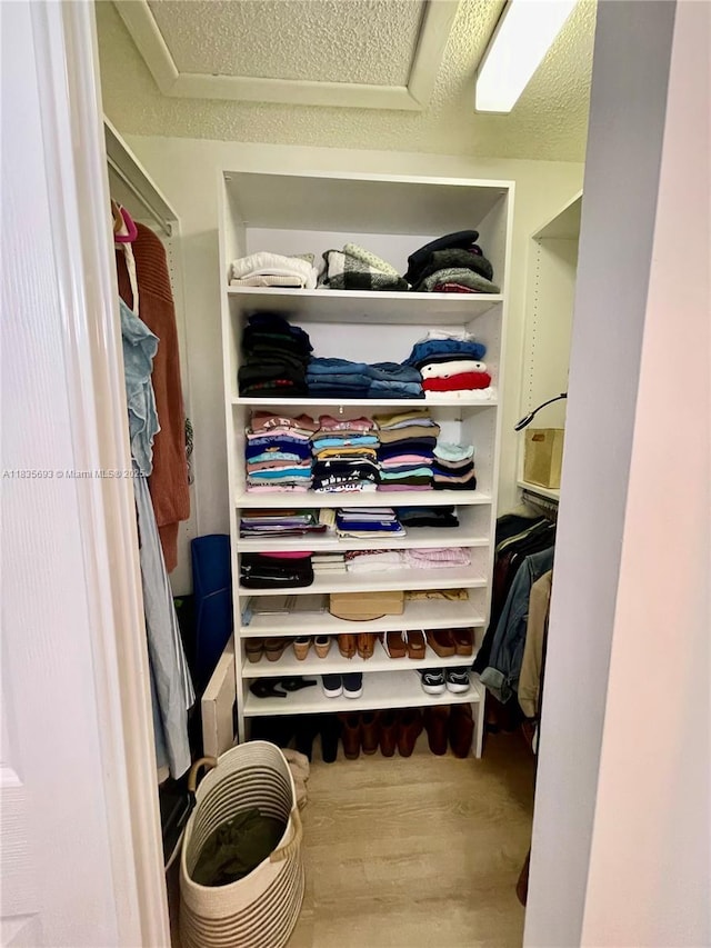 3137 S Carambola Cir S Unit 2369, Coconut Creek, FL 33066 - spacious closet featuring wood finished floors