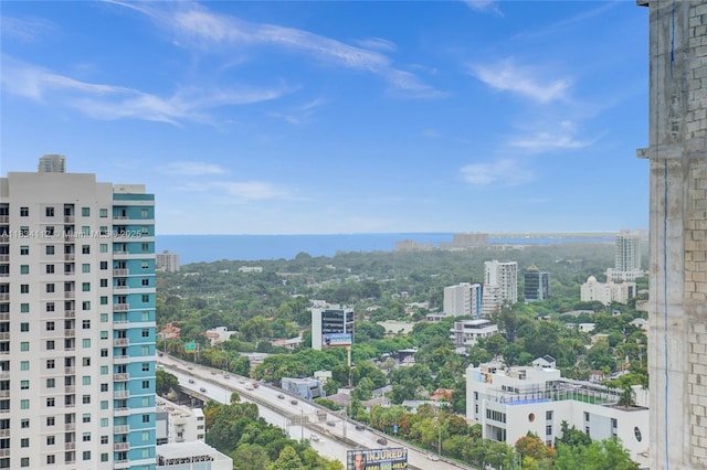 239 SW 9th St Unit 2203, Miami, FL 33130 - photo 13