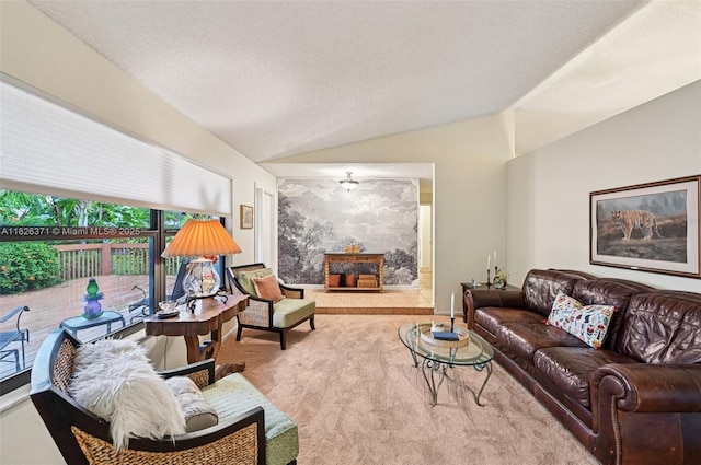 10875 NW 17th Mnr, Coral Springs, FL 33071 - carpeted living room featuring lofted ceiling and a textured ceiling