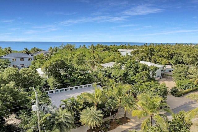 81975 Old Hwy, Islamorada, FL 33036 - drone / aerial view
