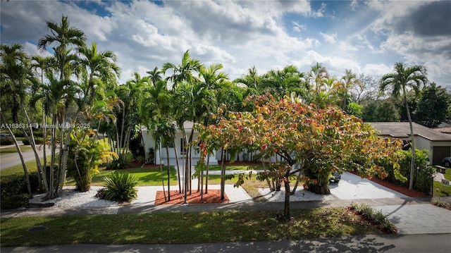 380 Morningside Dr, Miami Springs, FL 33166 - view of front facade