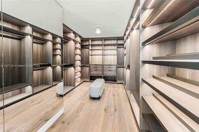 1510 Stillwater Dr, Miami Beach, FL 33141 - walk in closet with wood finished floors