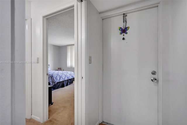 2831 SW 87th Ave Unit 702, Davie, FL 33328 - corridor with light colored carpet and a textured ceiling