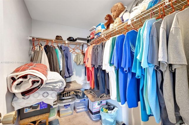 2831 SW 87th Ave Unit 702, Davie, FL 33328 - walk in closet featuring carpet