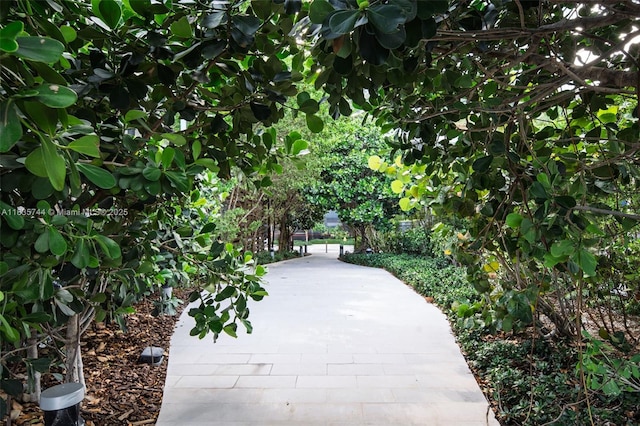 3131 NE 7th Ave Unit 1202, Miami, FL 33137 - view of community