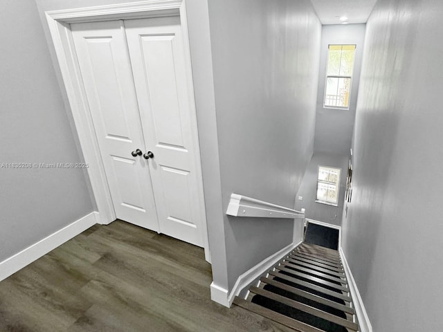 4126 Cascada Cir, Cooper City, FL 33024 - stairs with baseboards and wood finished floors