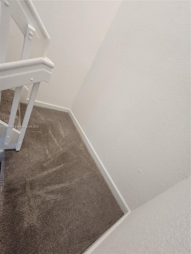 2693 SE 19th St, Homestead, FL 33035 - stairway featuring carpet floors and baseboards