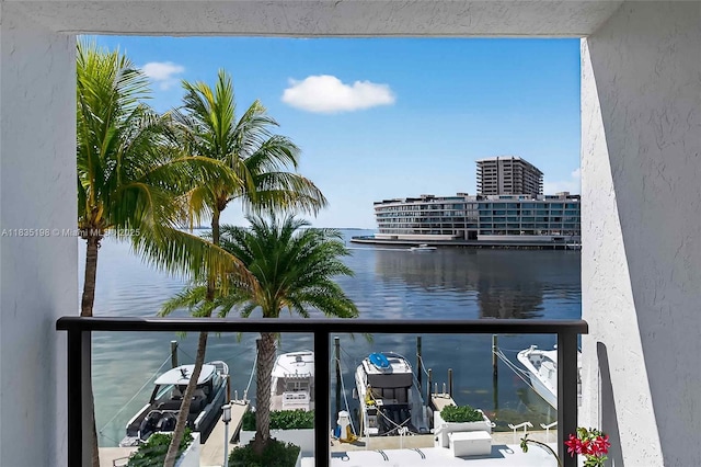 1600 S Bayshore Ln Unit 3A, Coconut Grove, FL 33133 - water view