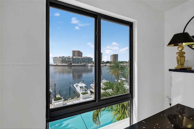 1600 S Bayshore Ln Unit 3A, Coconut Grove, FL 33133 - detailed view of nearby water and a view of city