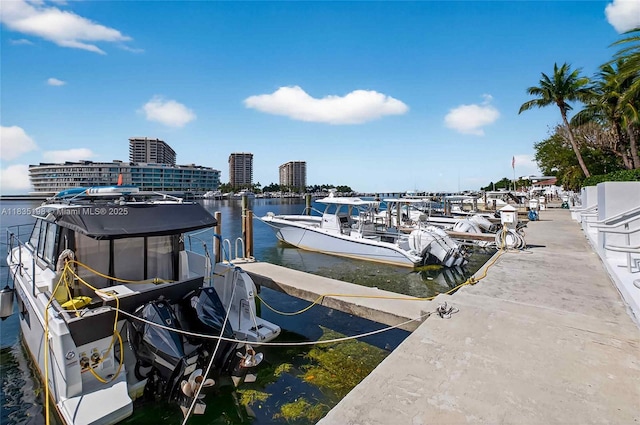 1600 S Bayshore Ln Unit 3A, Coconut Grove, FL 33133 - dock area featuring a water view