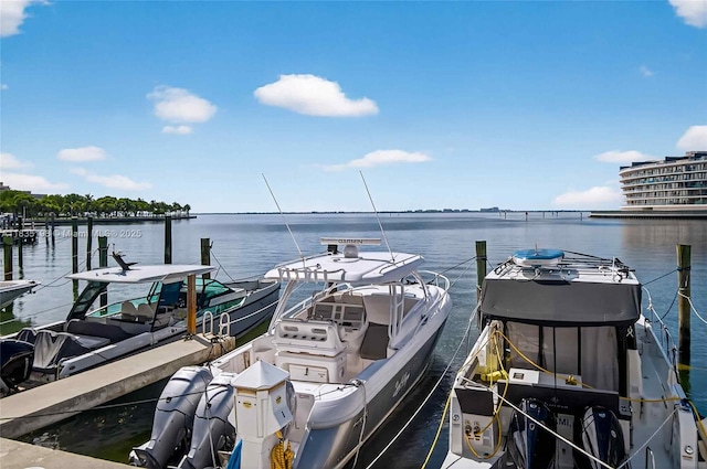 1600 S Bayshore Ln Unit 3A, Coconut Grove, FL 33133 - dock with a water view