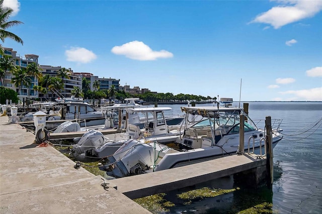 1600 S Bayshore Ln Unit 3A, Coconut Grove, FL 33133 - dock with a water view