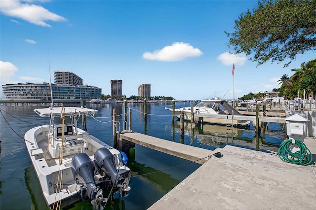 1600 S Bayshore Ln Unit 3A, Coconut Grove, FL 33133 - dock area with a water view and boat lift